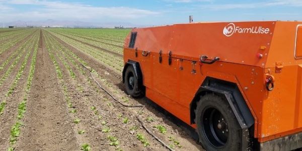 FarmWise создаст автономных овощеводов