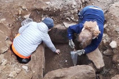 В древней могиле нашли «айфон» бронзового века